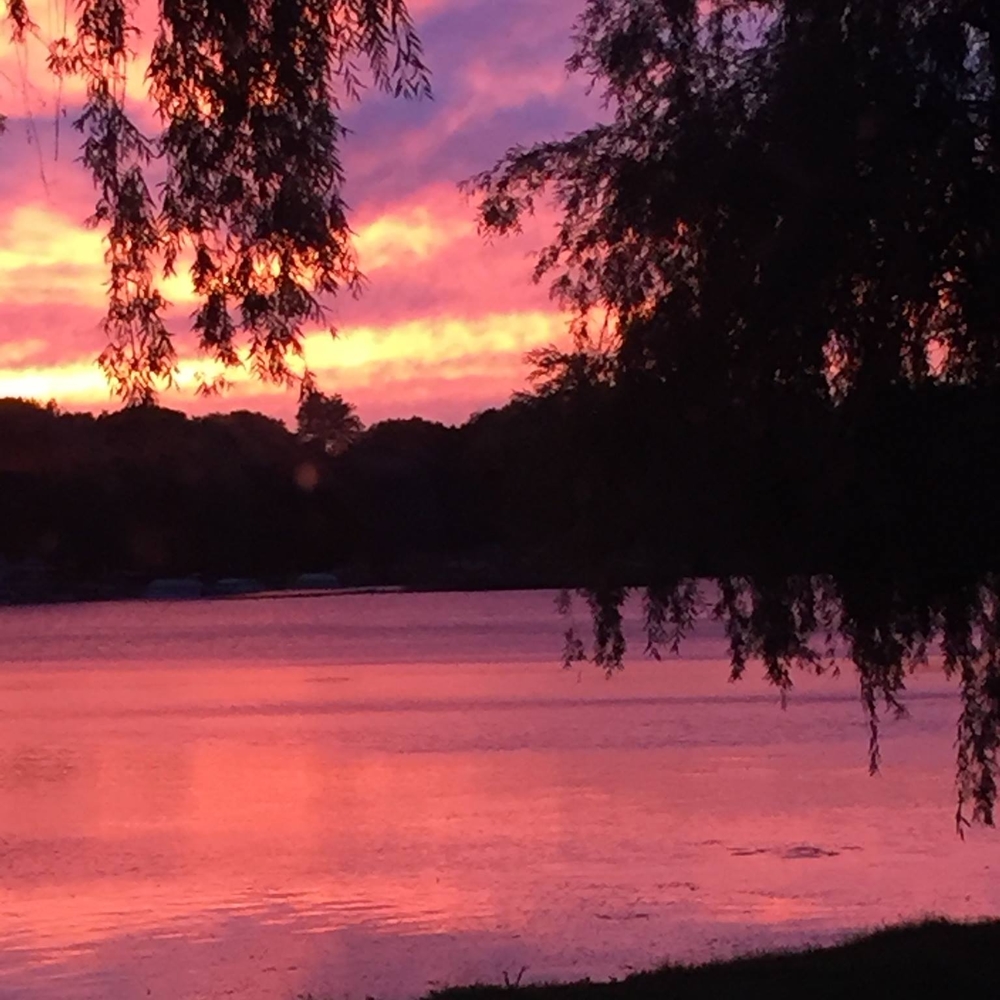 Meet your Posher, Kim